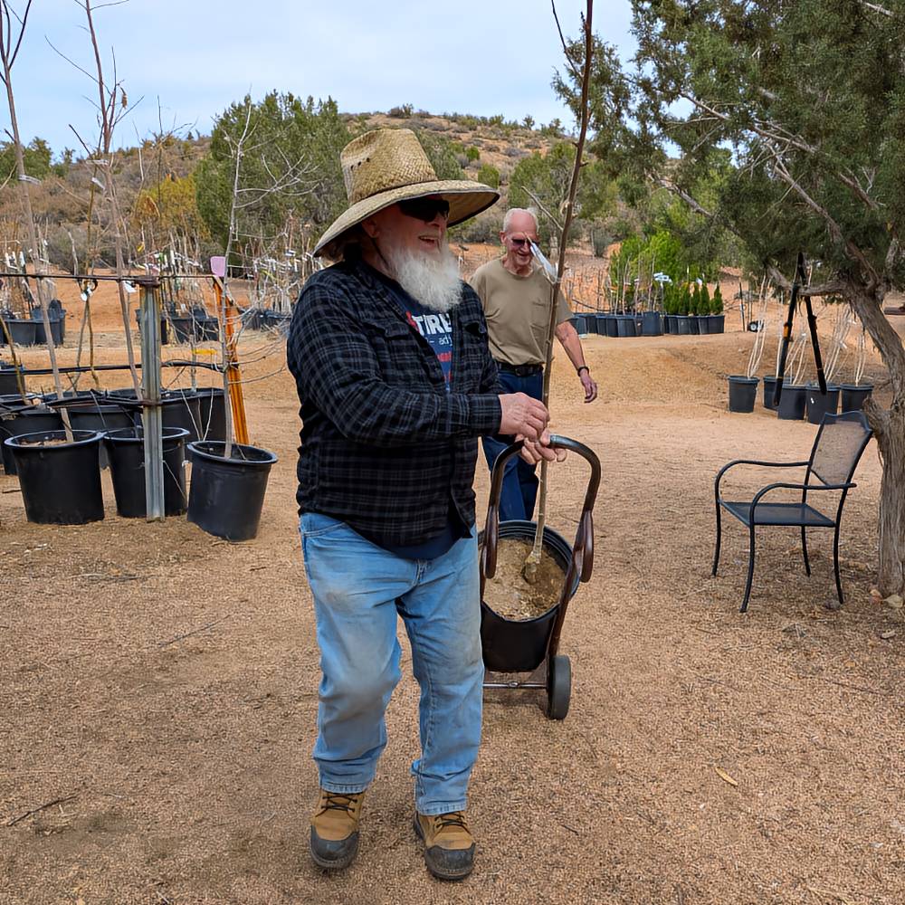 Doug Englert, owner of M&D Trees